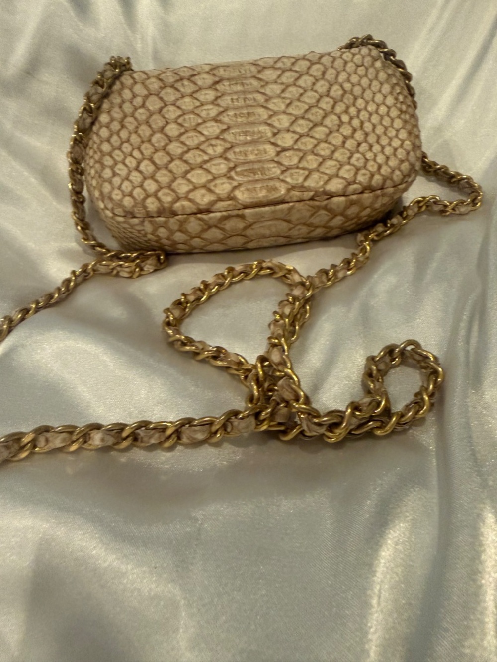 Chanel Python mini flap bag - Picture 3 of 15